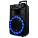 Bocina Bluetooth Dolphin SP-1500RBT Party Speaker 15" 3100W Negro